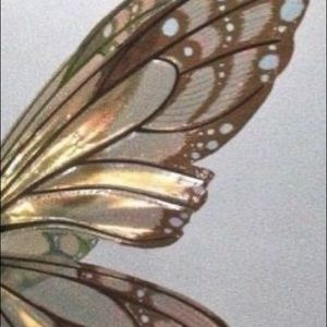 Meet your Posher, Kamaria